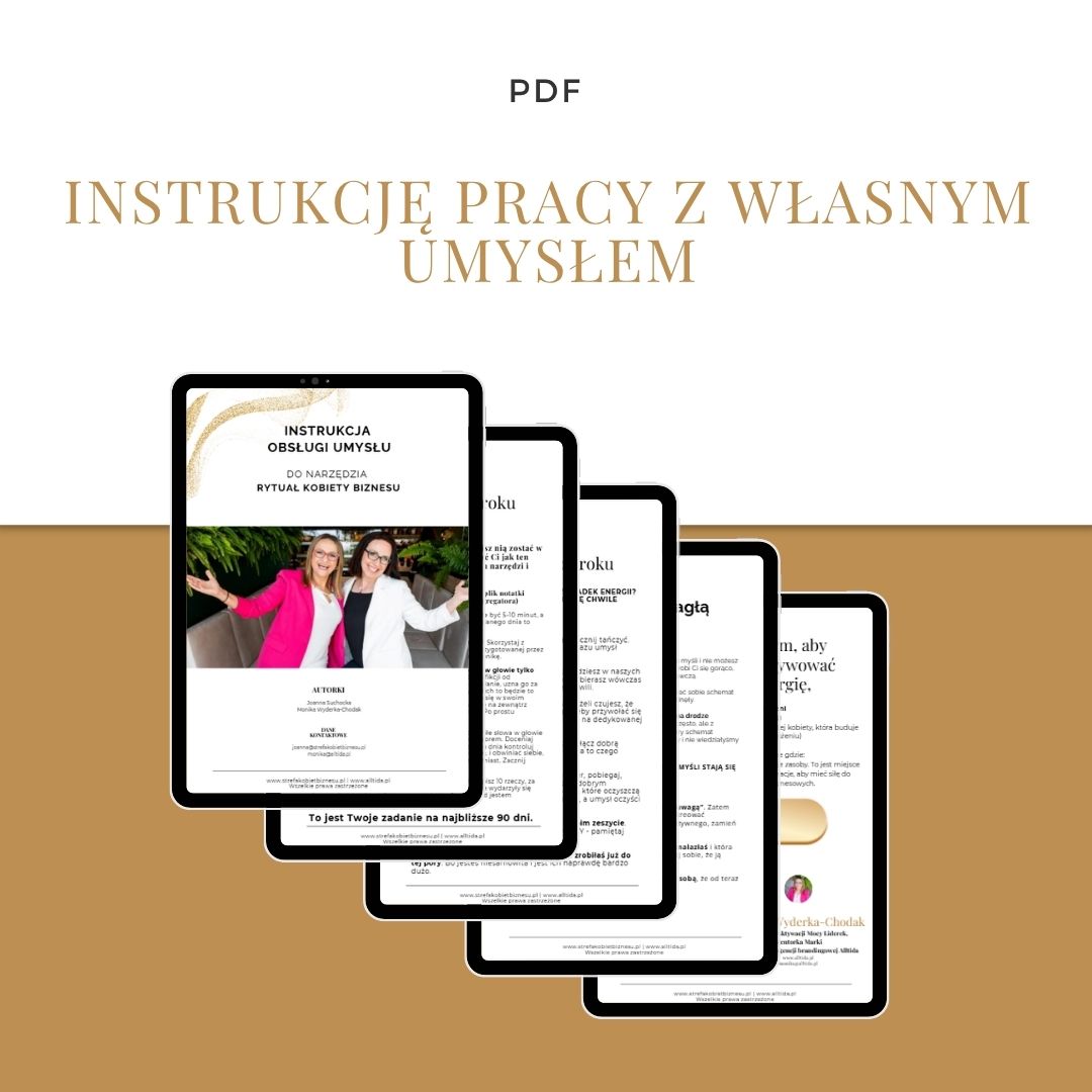 Instrukcja obsługi umysłu